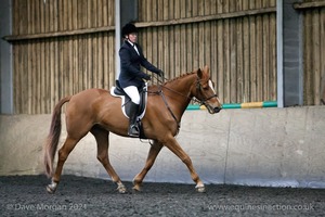 Isis Dressage Crown Farm Show 29th April 2012